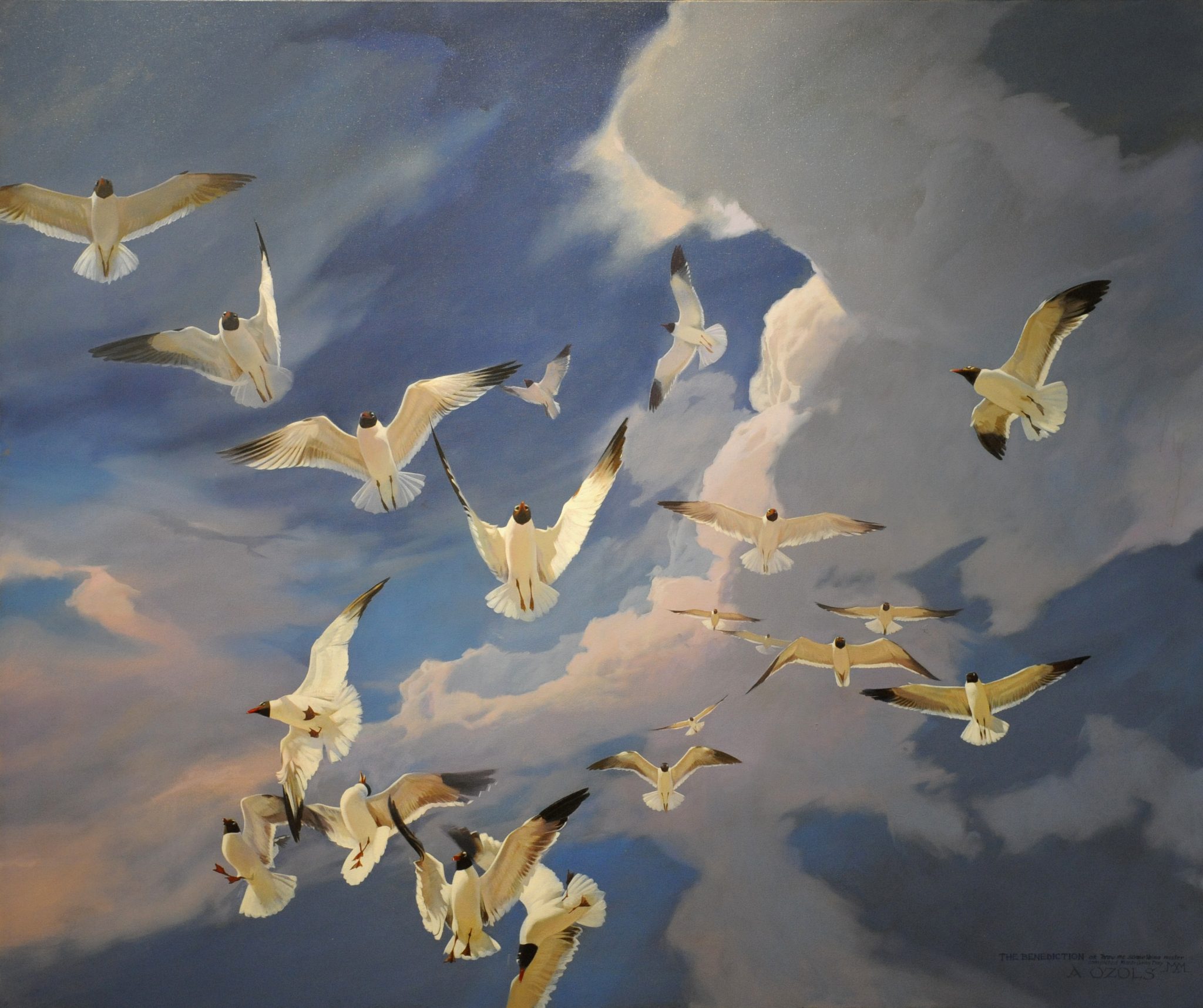 You are currently viewing The Bird Show at Studio Waveland