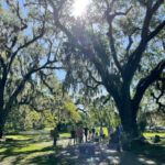 Read more about the article Save the Date! Plein Air Paint Out & Ozols Bench Dedication Nov. 7th, 2026, the Old Oak Grove, City Park